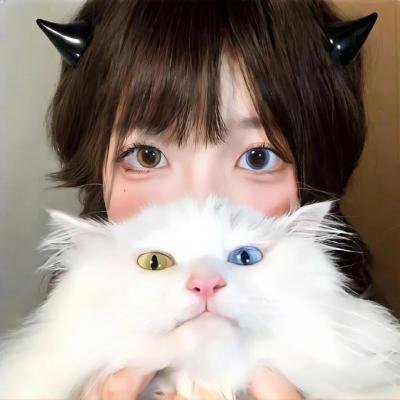 三全其美